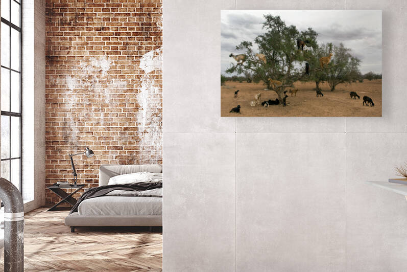 ART of NATURE027 by Jeremy Horner Images