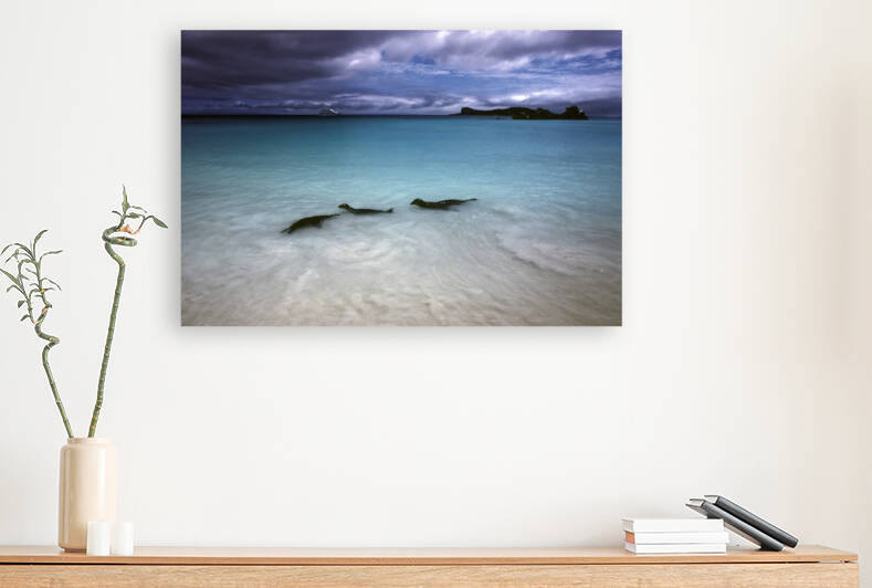 ART of NATURE022 by Jeremy Horner Images