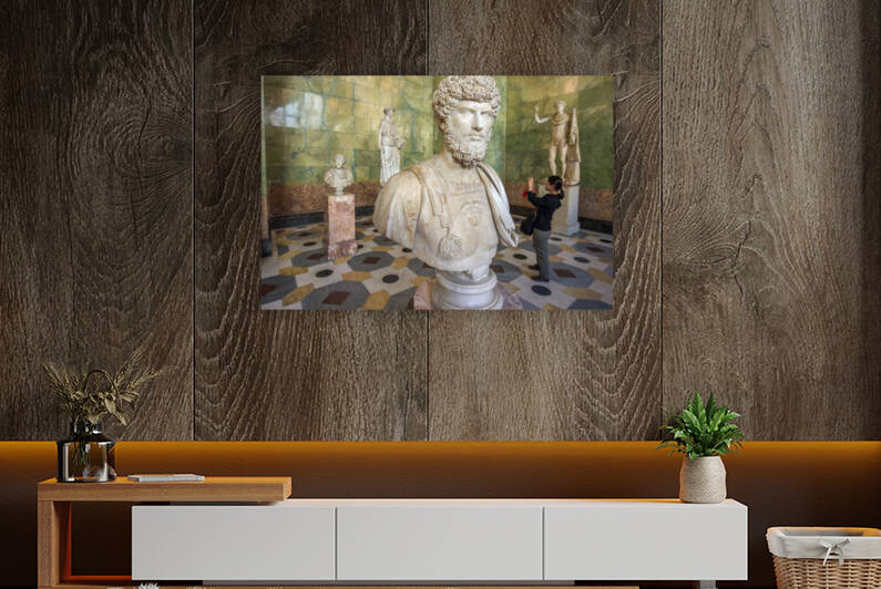 Horner StPetersburg 2289 by Jeremy Horner Images