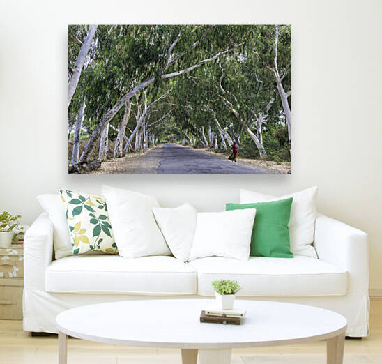 India Pigments133 by Jeremy Horner Images