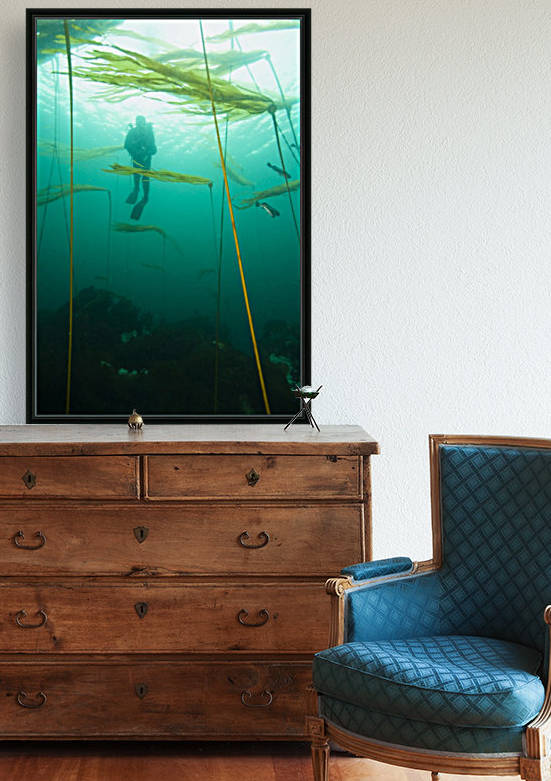 Browning Passage, Scuba Diving, Northern Vancouver Island, British Columbia, Canada by PacificStock