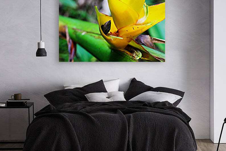 Puerto Rico by Taufiq Salahuddin