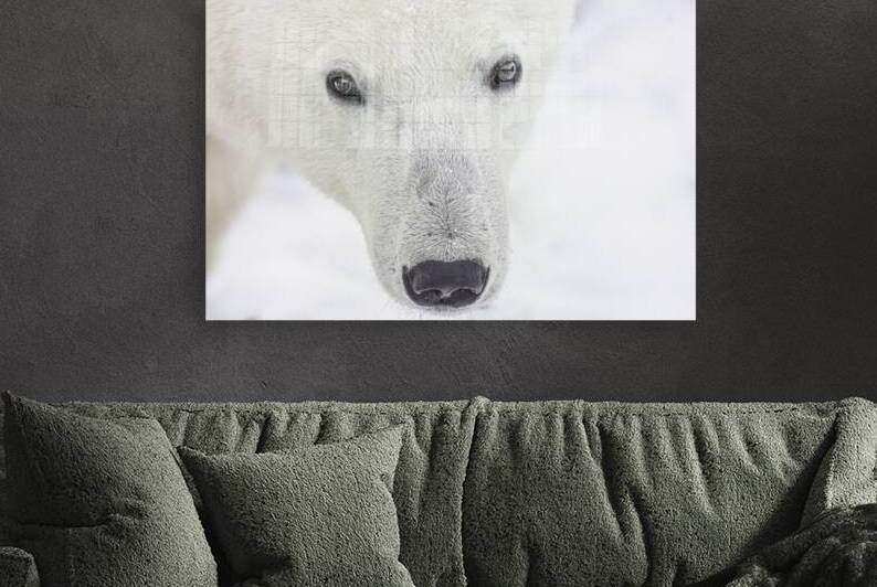 Hello by Johnny Hayward