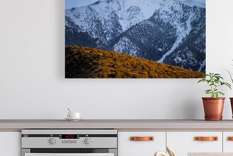 IMG 7246 by Taufiq Salahuddin