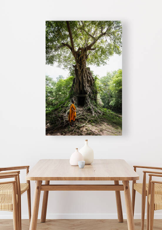 Contemplation by Regis Binard