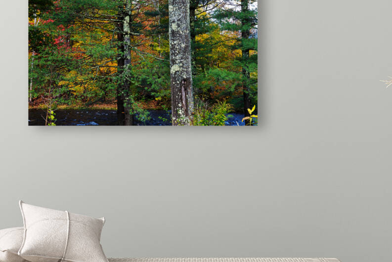 ART of NATURE030 by Jeremy Horner Images