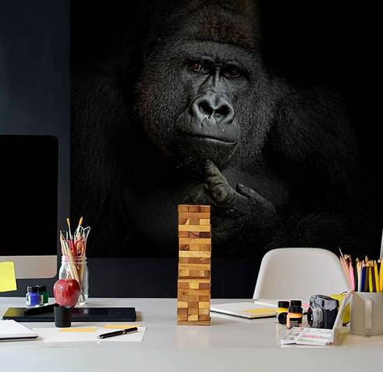 ego cogito, ergo sum by 1x