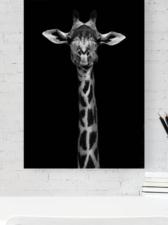 Giraffe Portrait by 1x