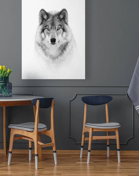 Portrait of a Timber Wolf by 1x