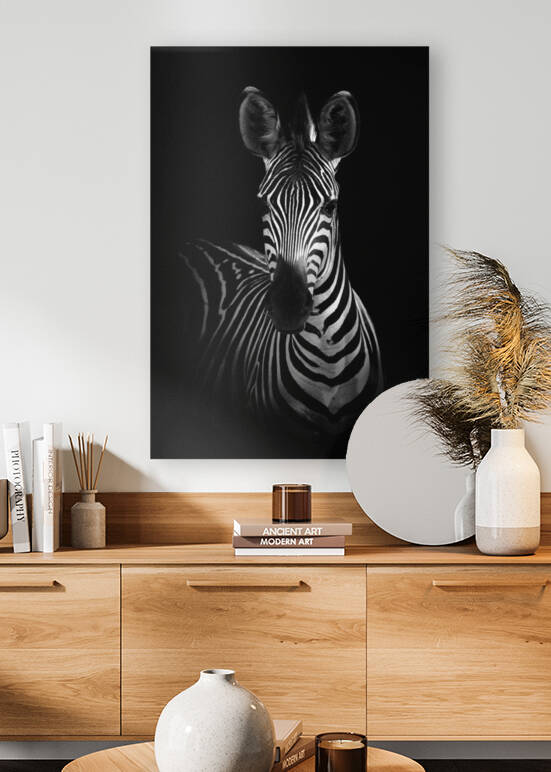 The Zebra by 1x