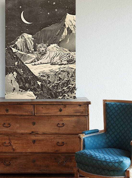 Giant White Tiger by 1x