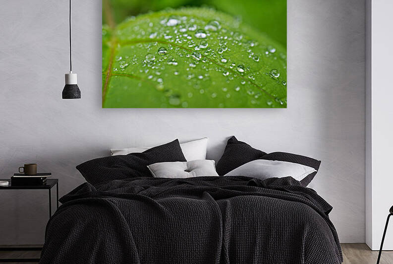 Rain Covered Leaf by Iris H Richardson