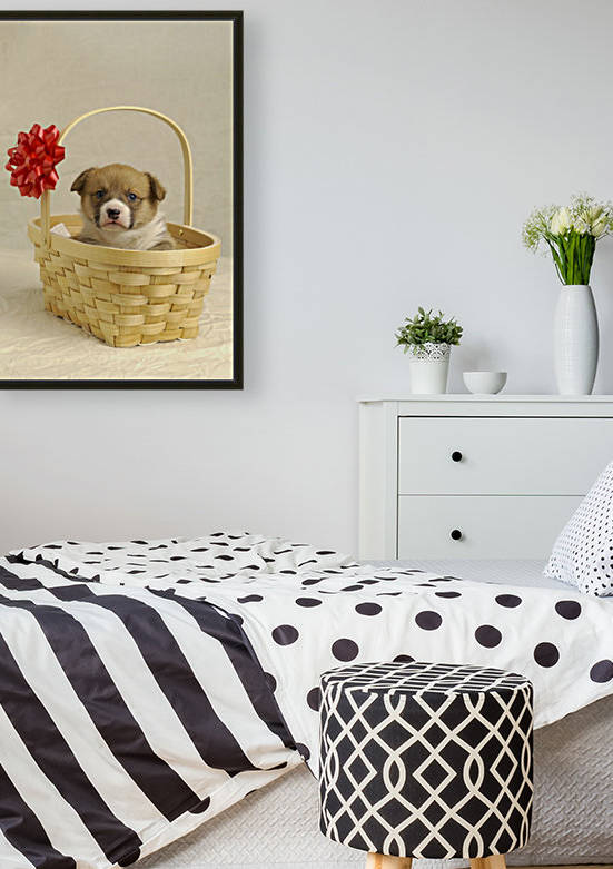 Puppy In A Basket by PacificStock