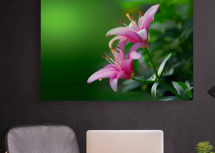 Twin Lilies Pink by Joan Han