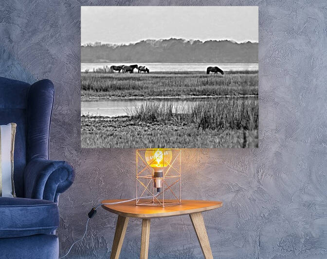 Band of Wild Horses at Sinepuxent Bay Monochrome by Bill Swartwout Photography
