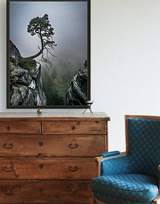 Lonely Tree on the Edge by Andreas Wonisch