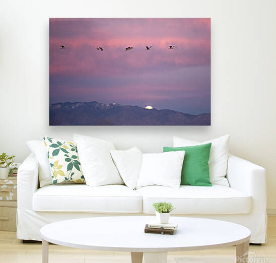 DSC 2671 edit cropped noise reduced healed 16x24. by Phillip A Snider Photography