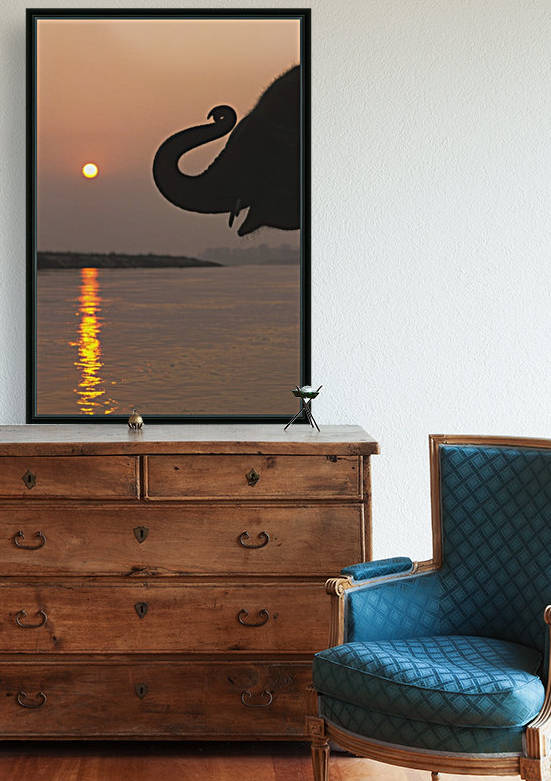 Elephant, Chitwan National Park, Nepal by PacificStock