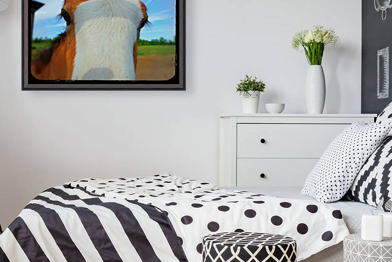 Baby Clydesdale by Cameron Young