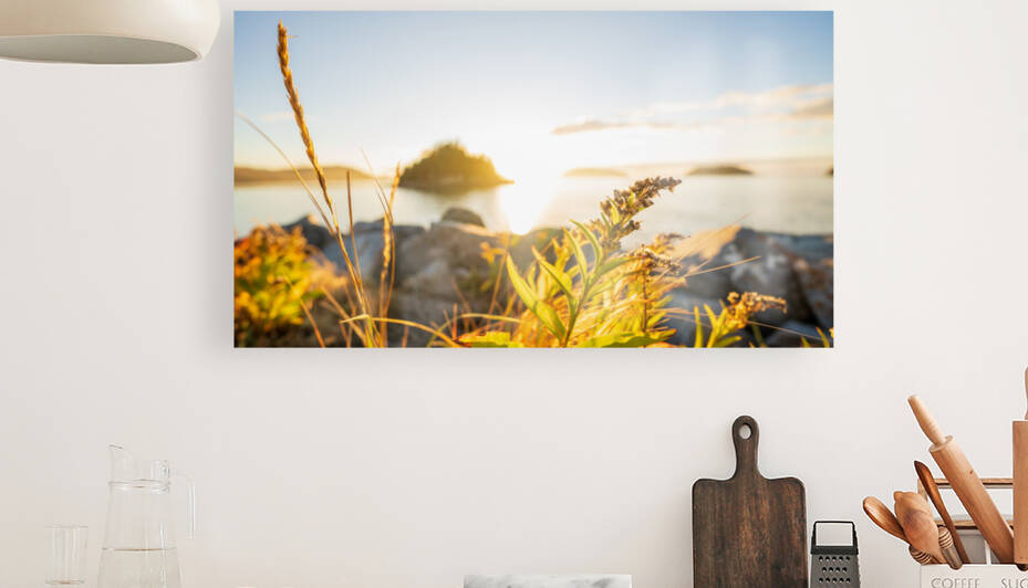 L incontournable Bic   La belle saison no1 by Sebastien Vallee