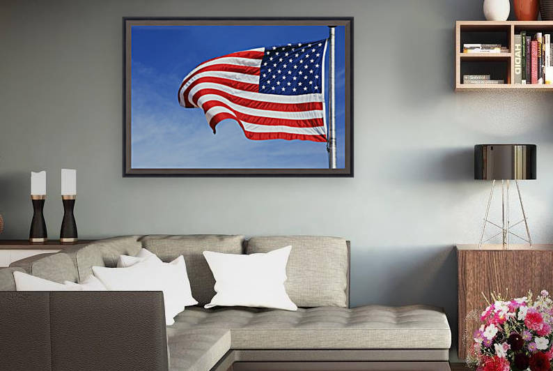 The American Flag by PacificStock