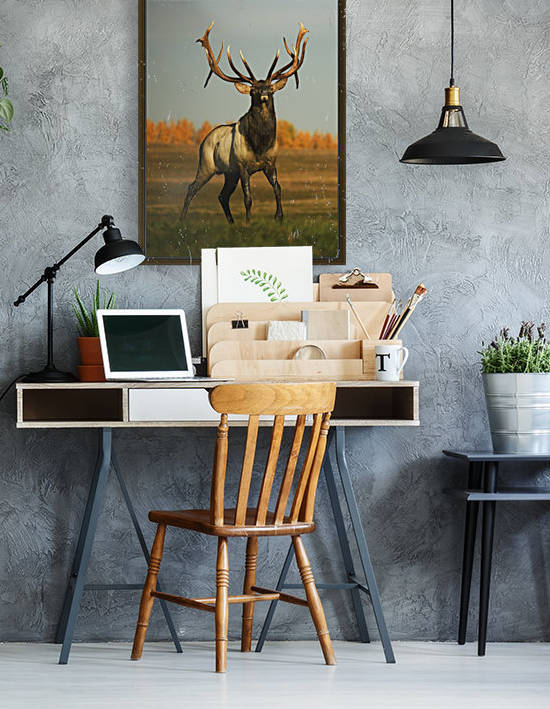 Alberta, Canada; Elk (Cervus Canadensis) by PacificStock