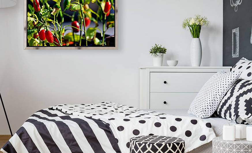 Peppers by Cameron Young