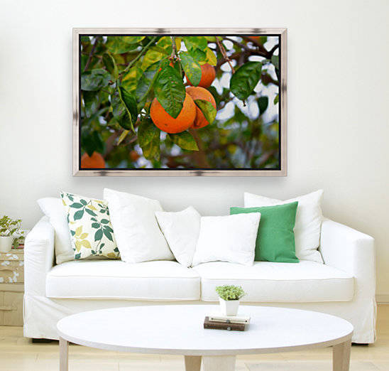 Oranges by Cameron Young