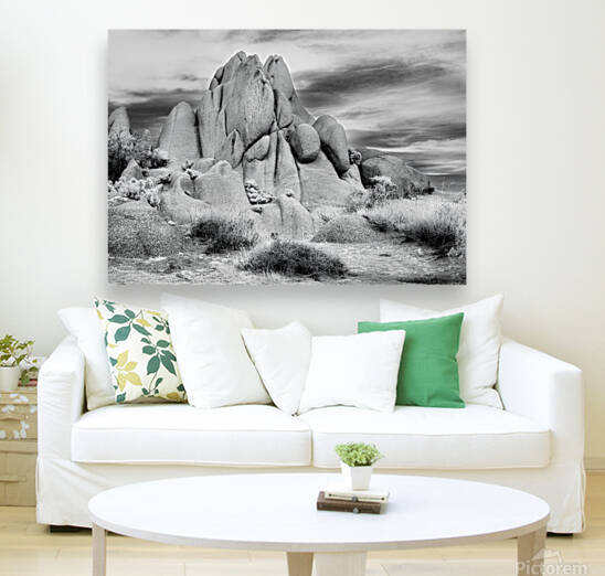 Joshua Tree Rocks and Flora by Jerry Fornarotto