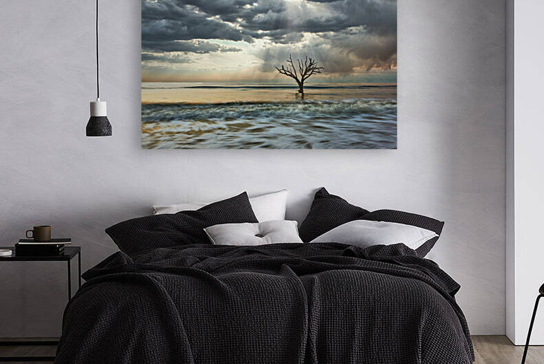 Rays on Botany Bay by Images By Jon Evan