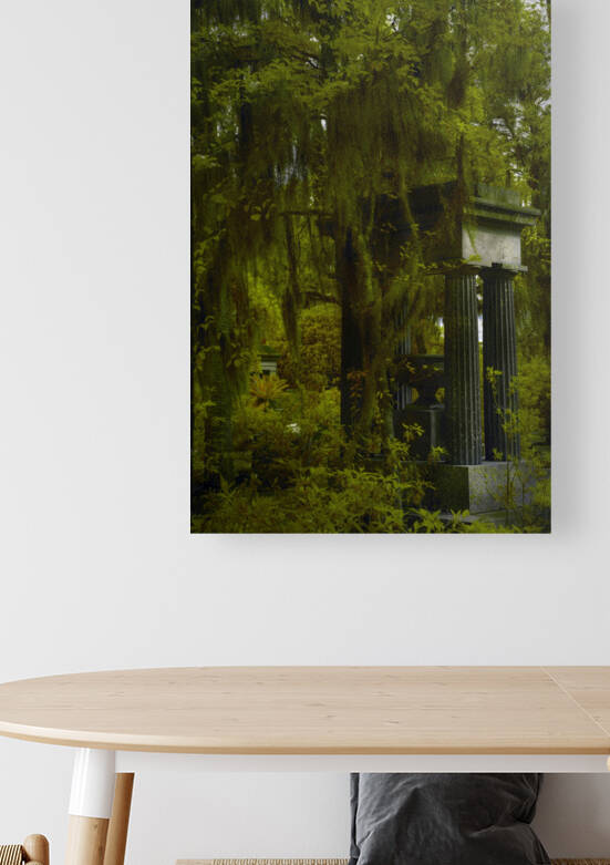 Bonaventure Graves by Images By Jon Evan