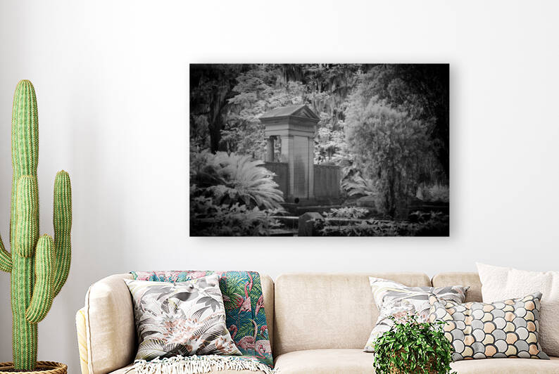 WillCox Grave by Images By Jon Evan