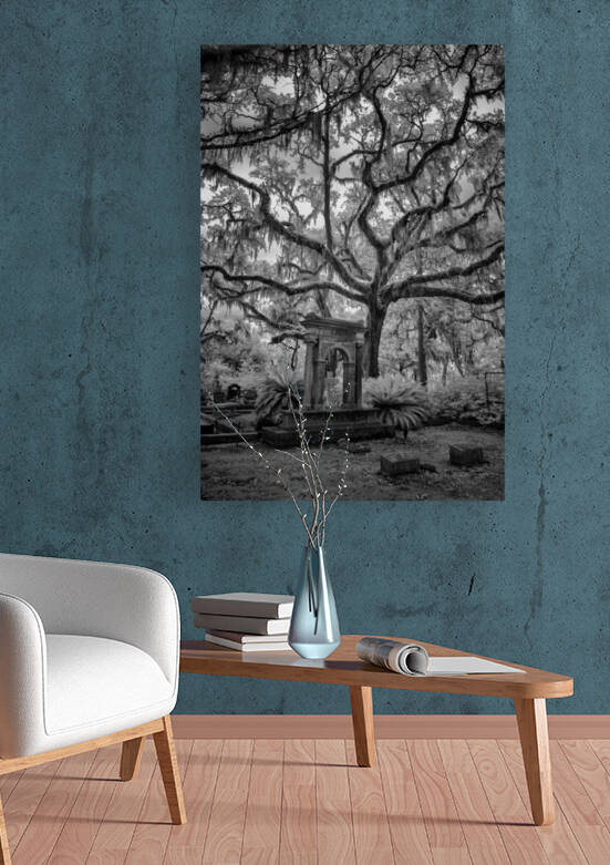 Oak in Cemetary II by Images By Jon Evan