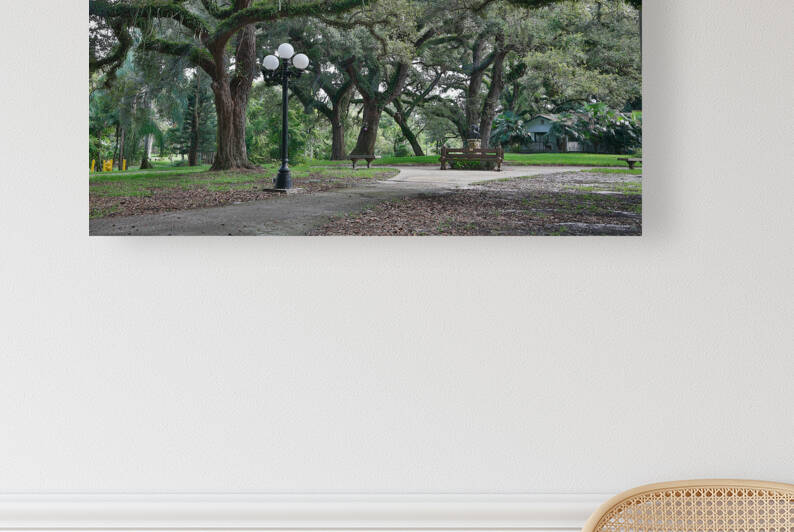  Flamingo Gardens by Images By Jon Evan