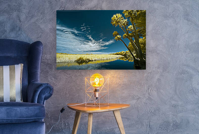 Florida State Park by Images By Jon Evan