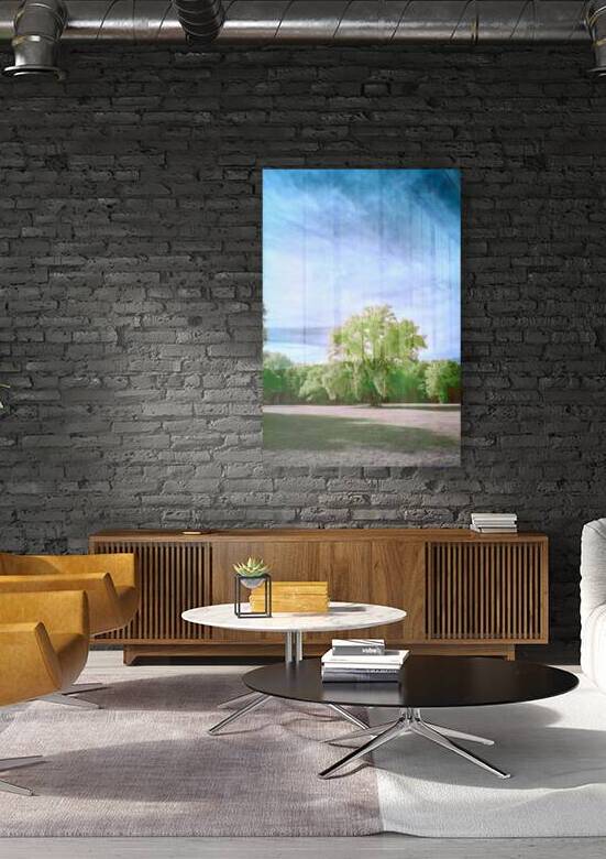 Central Florida Tree by Images By Jon Evan