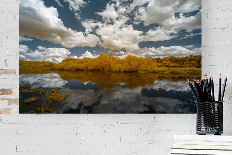 Myakka Park in Florida  by Images By Jon Evan