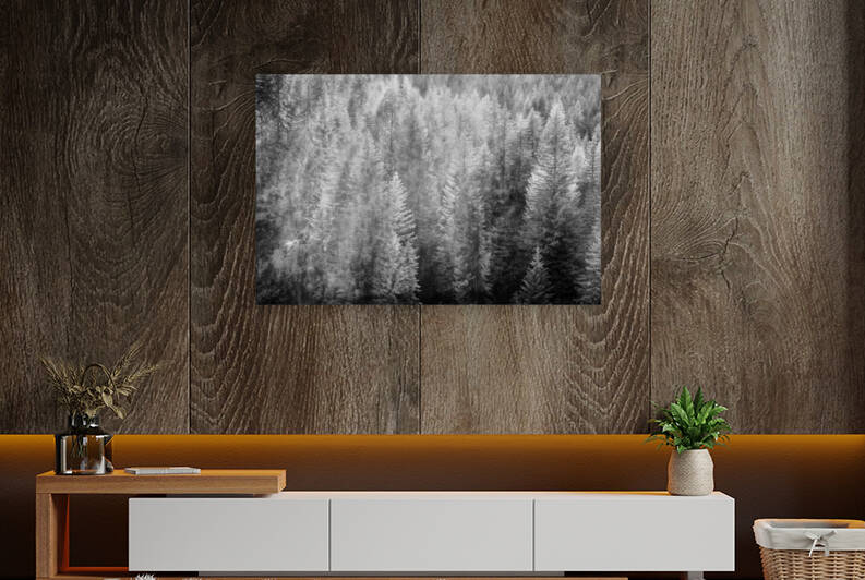 More French Alp Trees by Images By Jon Evan