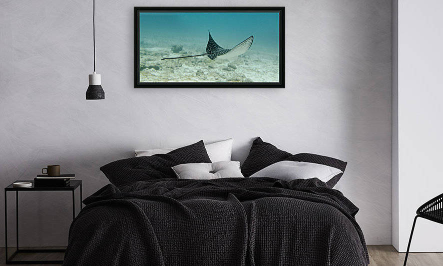 A Spotted Eagle Ray (Aetobatus Narinari)Under The Water; Galapagos, Equador by PacificStock