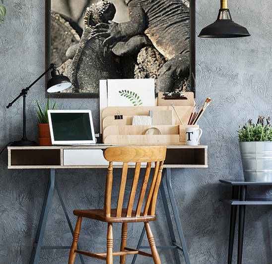 Two Marine Iguanas (Amblyrhynchus Cristatus) Showing Affection; Galapagos, Equador by PacificStock