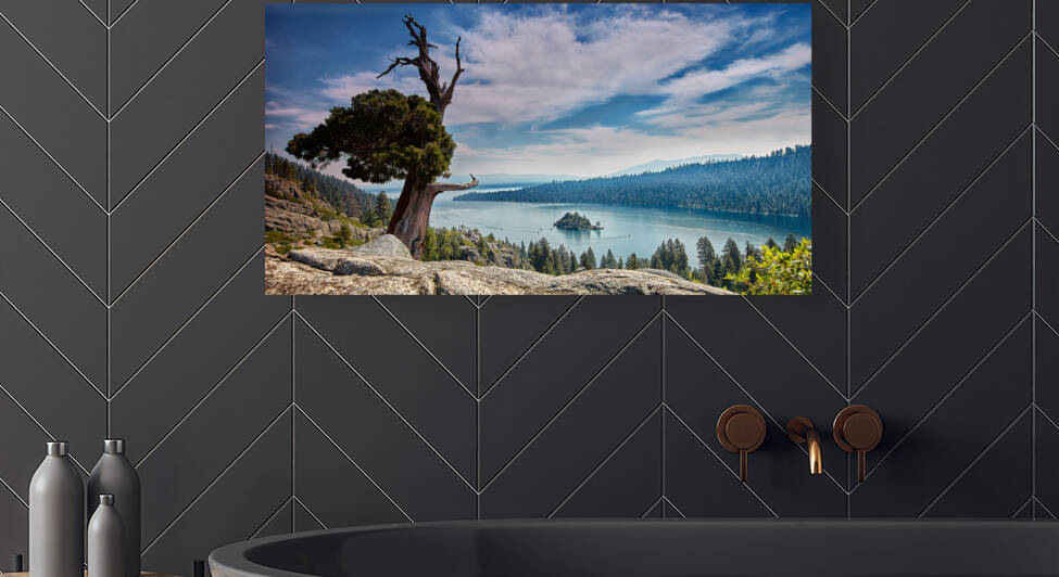 Lake Tahoe Tree by Images By Jon Evan