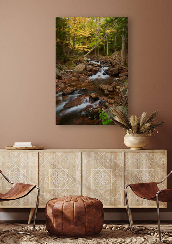 Cascade in Acadia Park by Images By Jon Evan