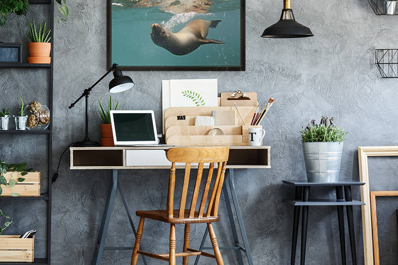 A Sea Lion Swimming Under The Water's Surface; Galapagos, Equador by PacificStock