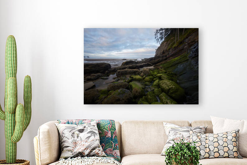 Smugglers Cove in the Morning by Images By Jon Evan