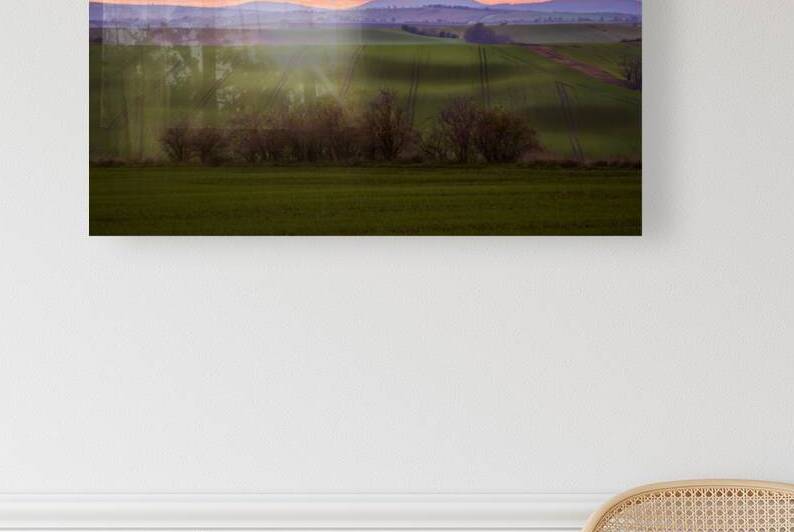 Morning Light in South Moravia by Images By Jon Evan