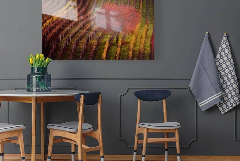 Red Leaves in South Moravia Winery by Images By Jon Evan