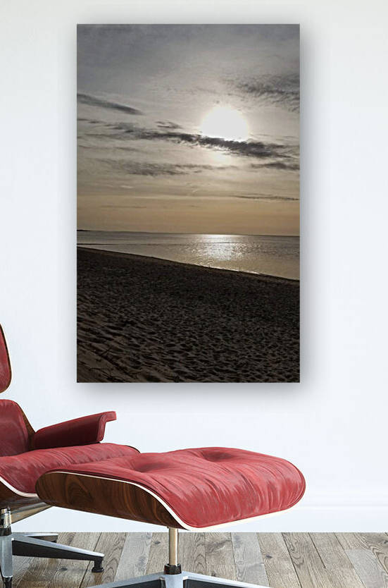 facebook 1659052387052 6958570063229877592 by Rochelle Marcus