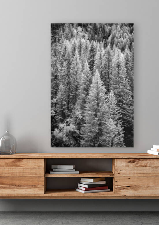 French Alp Trees by Images By Jon Evan