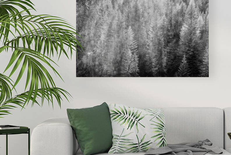 More French Alp Trees by Images By Jon Evan