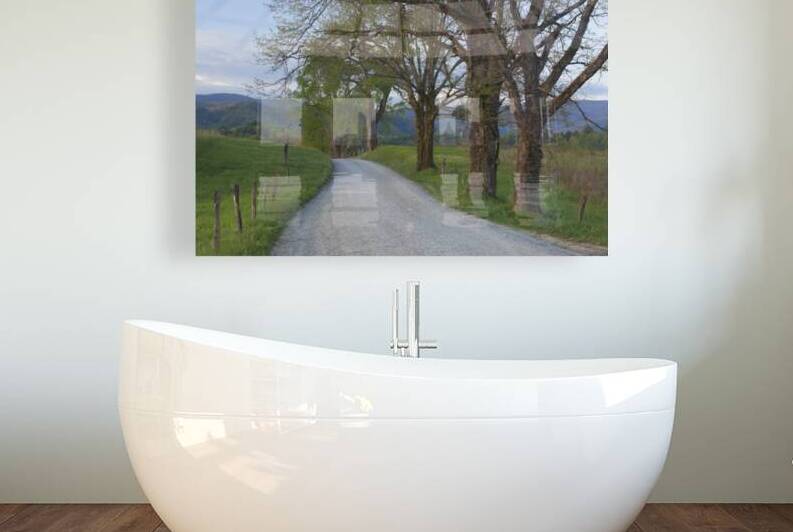 Trees on a Path by Images By Jon Evan